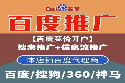 经典案例：SEM代运营服务公司的成功之路